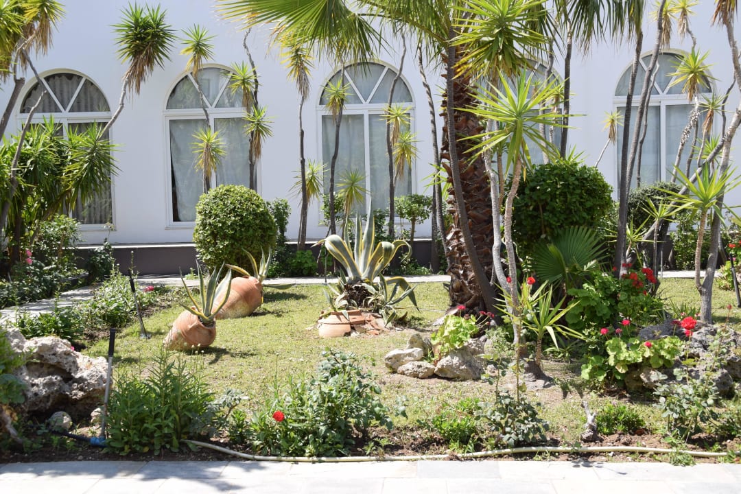 Neben dem Haupteingang Irene Palace Beach Resort Club alltoura