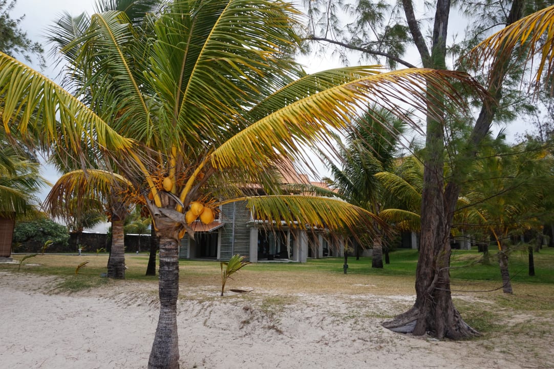 Gartenanlage Crystals Beach Resort Belle Mare, a member of Radisson Individuals