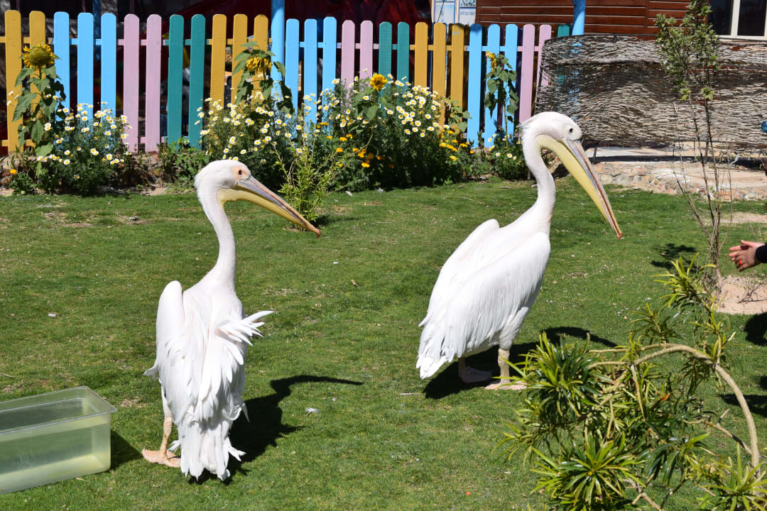 Gartenanlage Le Jardin Aqua Park Resort