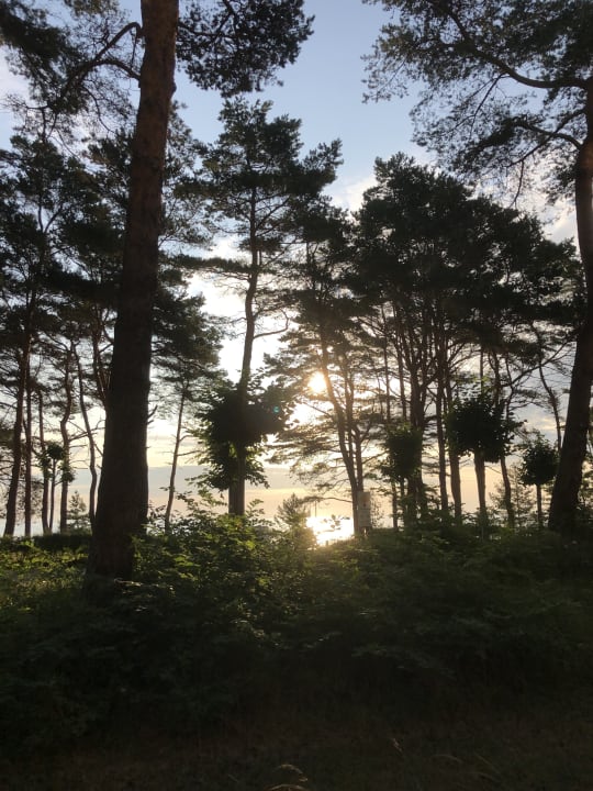 Gartenanlage IFA Rügen Hotel & Ferienpark