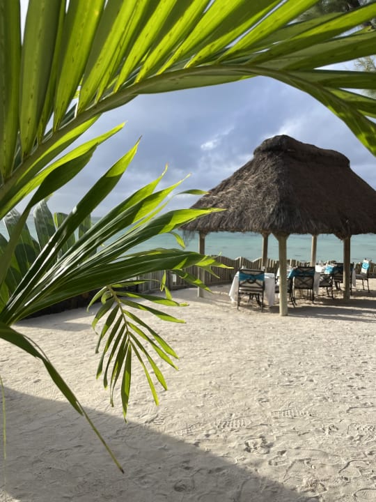 Gastro Ambre Mauritius