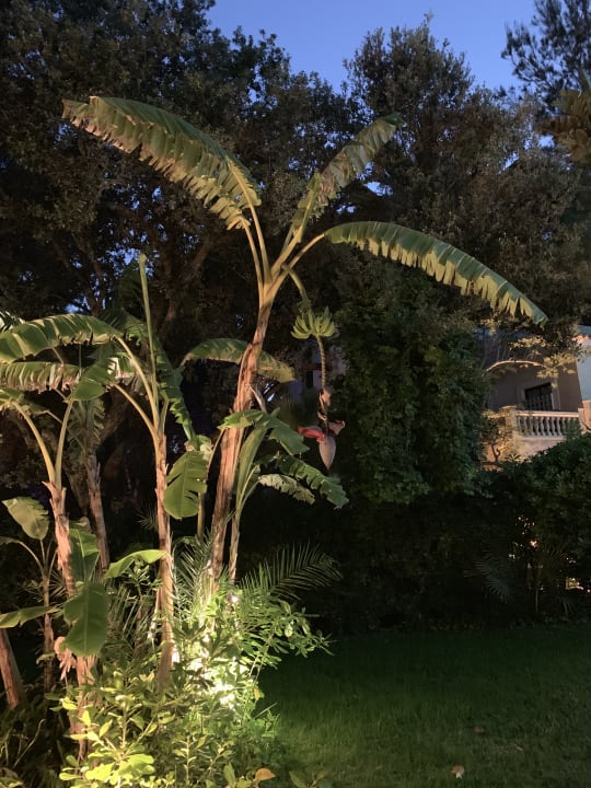 Gartenanlage Lago Garden