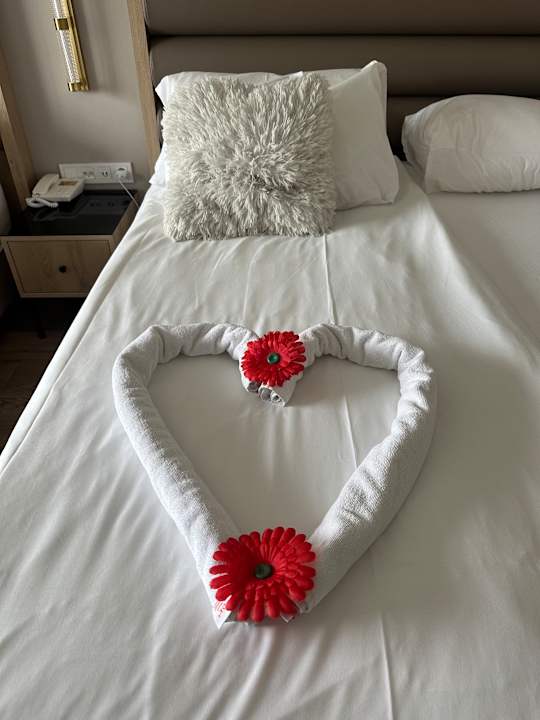 Zimmer Aydinbey Kings Palace & Spa