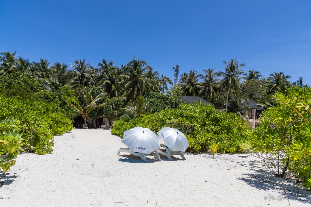 Strand Summer Island Maldives