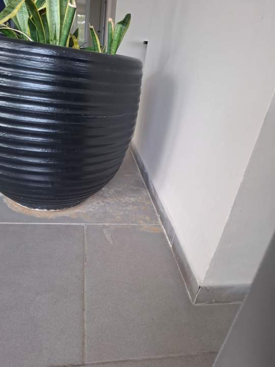 Lobby Hotel Club Tropicana & Spa