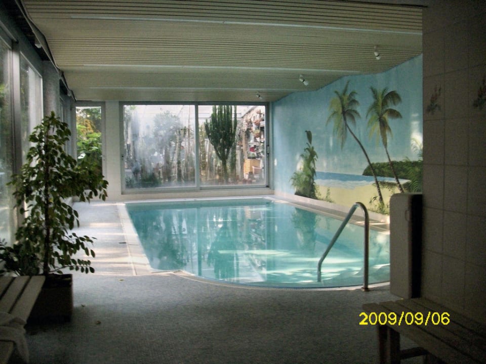 Indoor-Pool Hotel Nothnagel