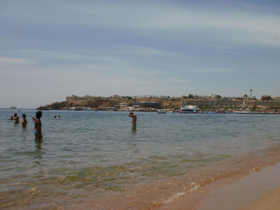 Schöner Strand Ghazala Gardens