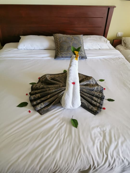 Zimmer Casa Mare Resort