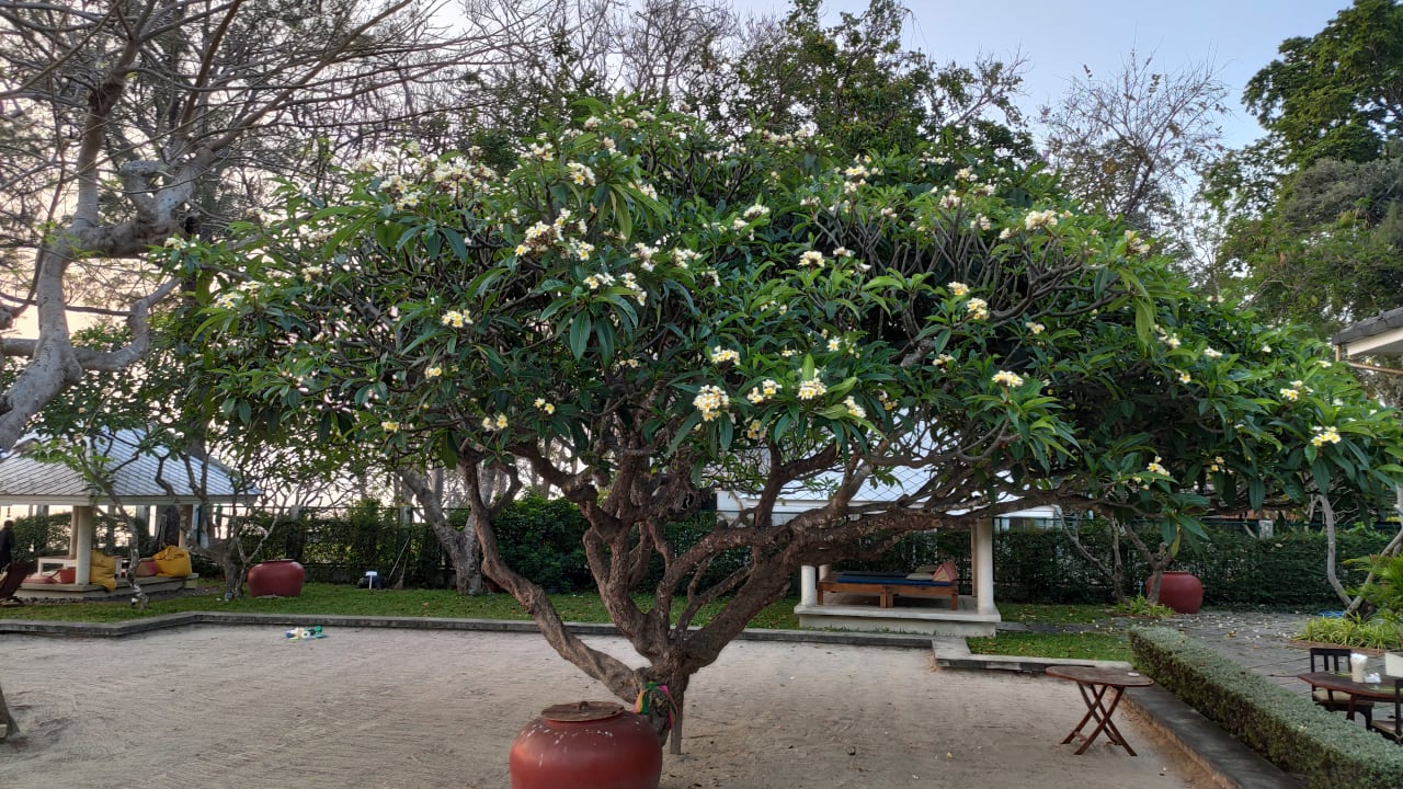 Gartenanlage Hotel Baan Bayan Hua Hin