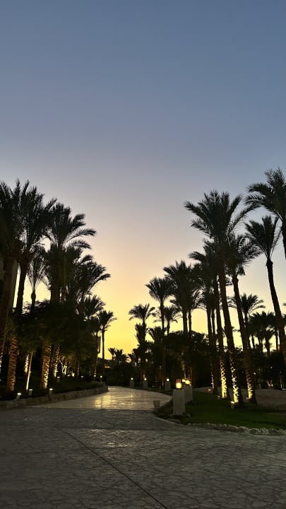 Gartenanlage Makadi Spa - Adults only