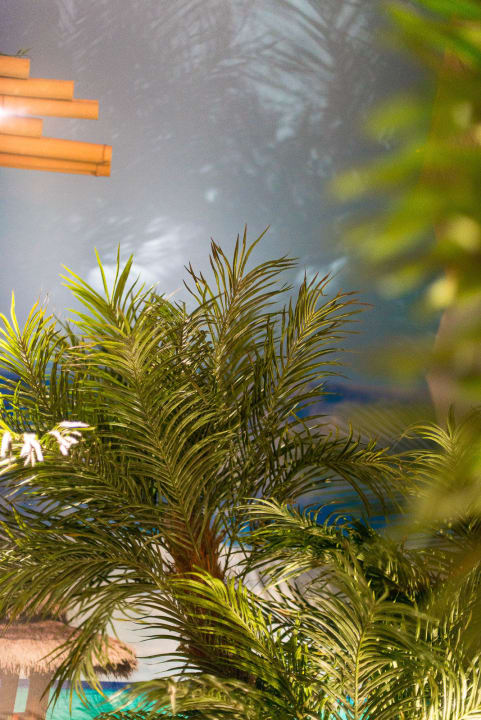 Bamboo Lounge Hotelthemenzimmer im Hotel Sprenz Hotel Sprenz