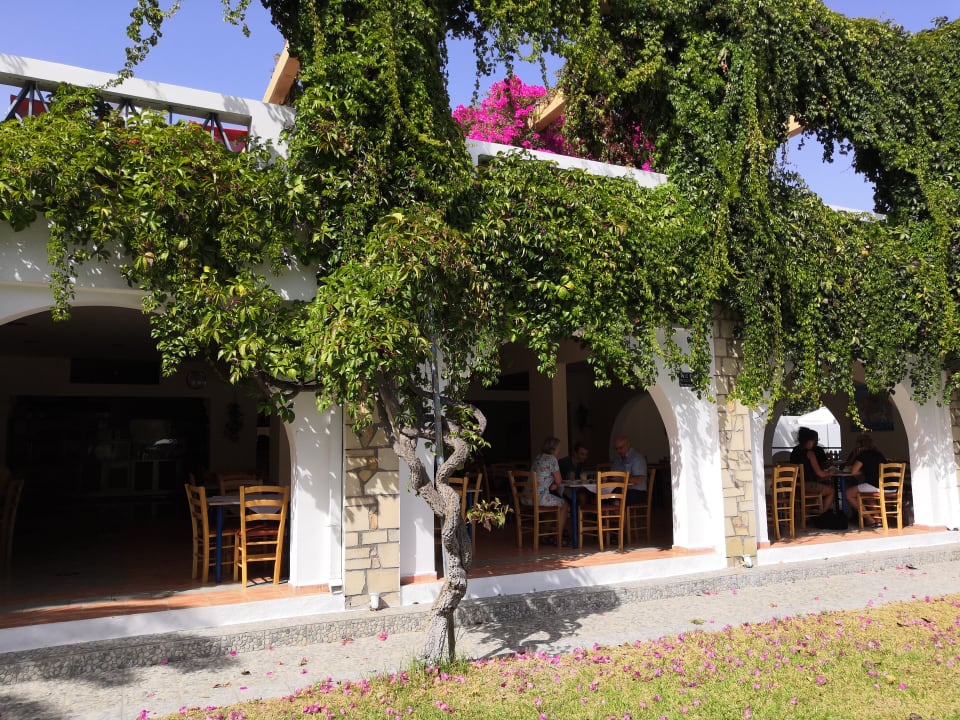 Außenansicht Ekaterini Hotel