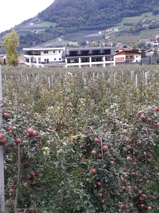 Außenansicht Mitterplarser Hotel