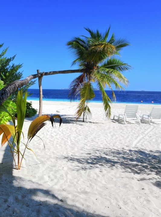 Strand Fihalhohi Maldives