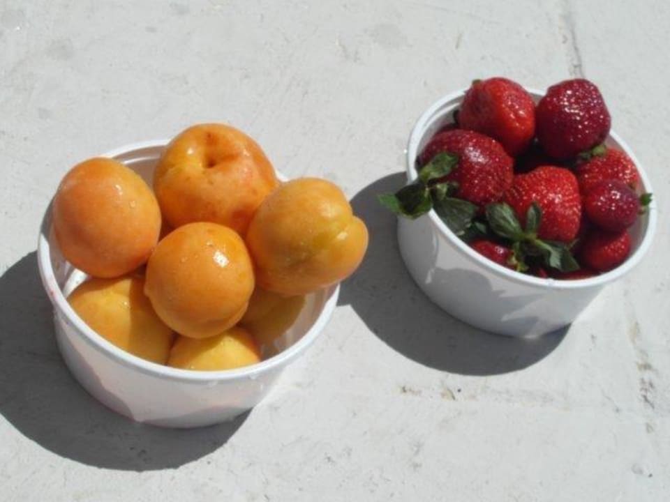 Frische Früchte Costa Angela Seaside Resort