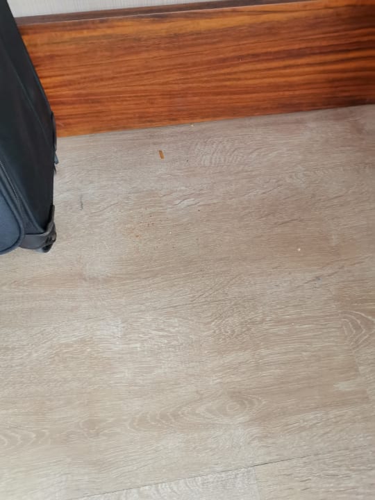 Zimmer Well Palace Side