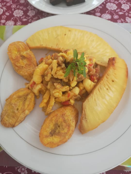 Gastro Guesthouse Polish Princess