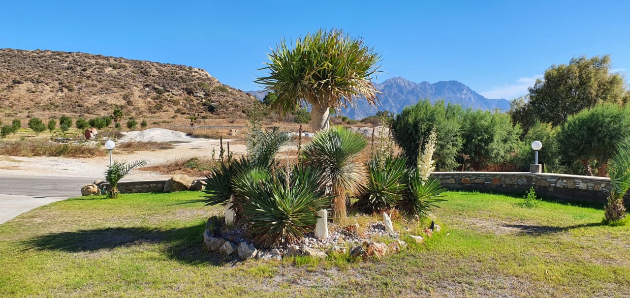 Gartenanlage Grand Blue Beach Hotel