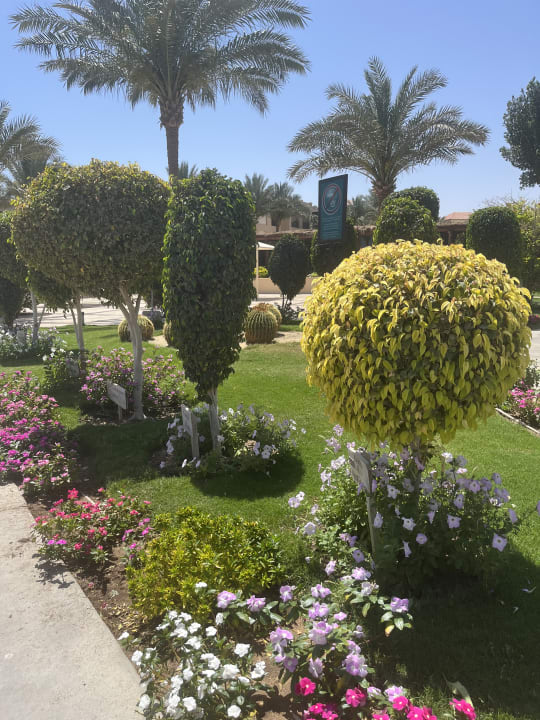 Gartenanlage JAZ Aquamarine Resort