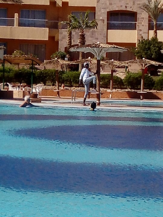 Pool Utopia Beach Club