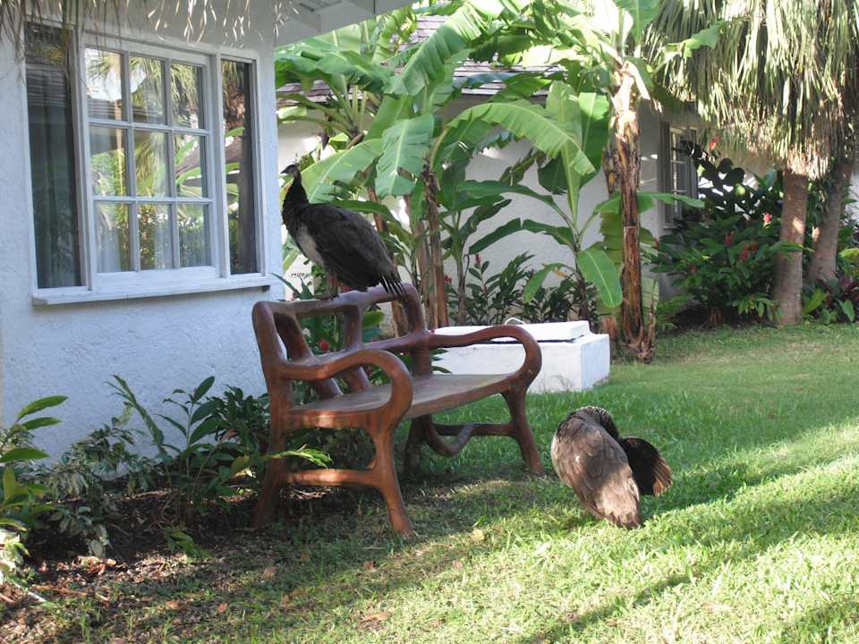 Bungalow Grand Muthu Club Caribbean Runaway Bay