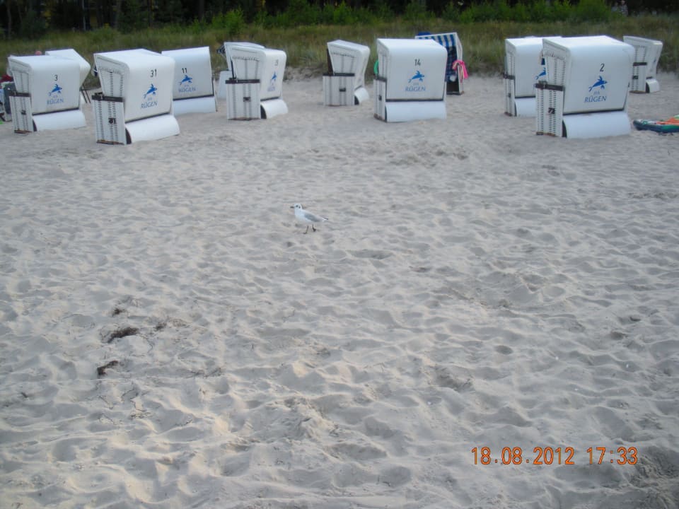 Strandkörbe IFA Rügen Hotel & Ferienpark