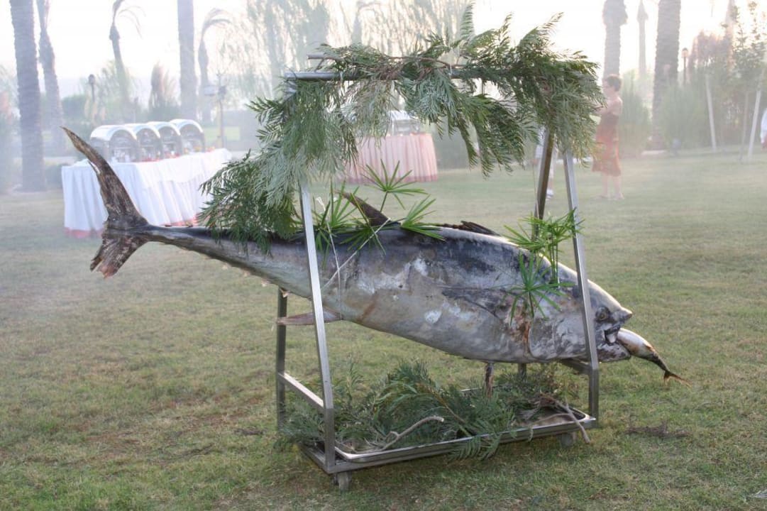 Fischfang Trendy Aspendos Beach Hotel