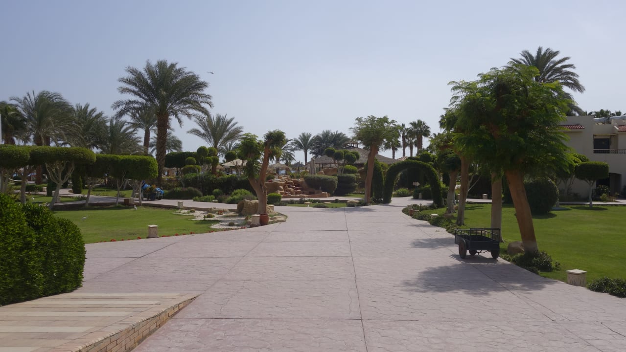 Gartenanlage Lotus Bay Beach Resort