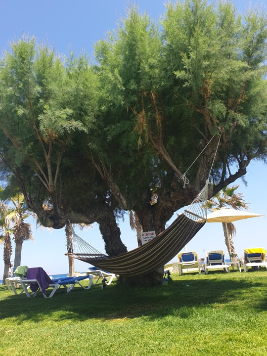 Gartenanlage Lyttos Beach Hotel