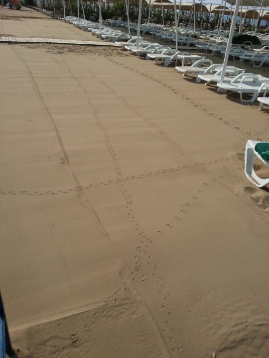 Sand wurde gewalzt Sunis Evren Beach Resort Hotel & Spa