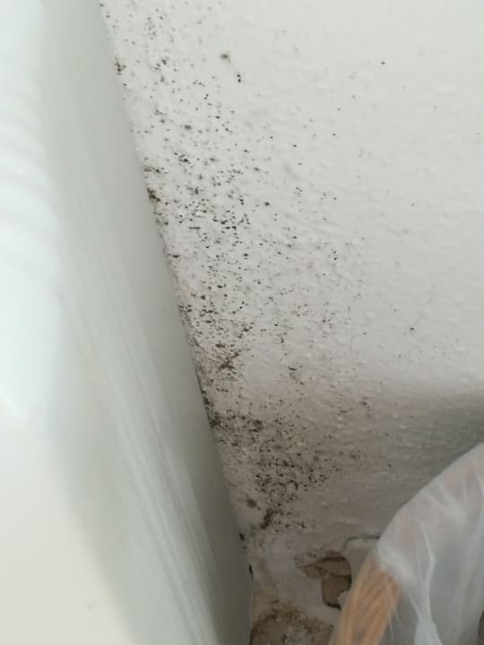 Zimmer Monarque Dar Jerba Zahra