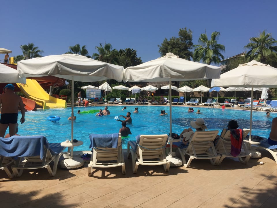 Pool Palmeras Beach Hotel