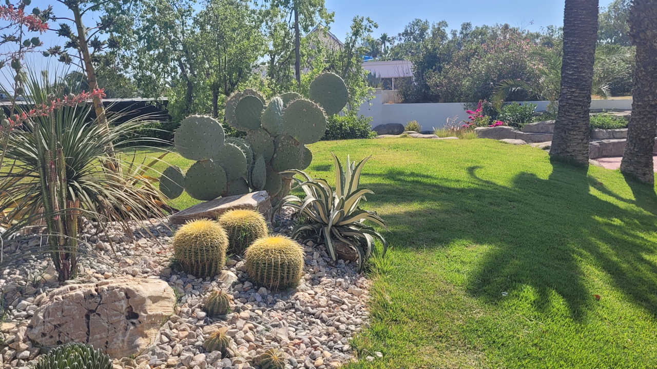 Gartenanlage Monachus Family Resort Sorgun