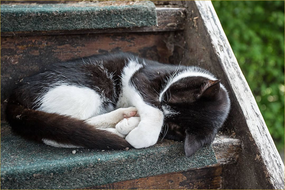 Rundgang per FotoShooting Sommer 2015 Hotel Reiterhof Altmühlsee