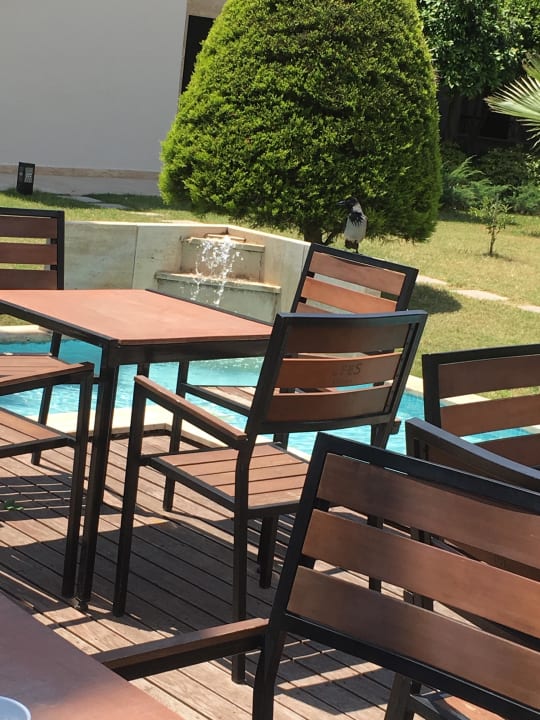 Super hergerichteter Garten  Alaaddin Beach - Adults only
