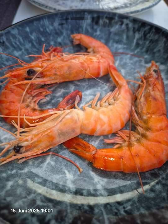 Gastro Megasaray Club Belek