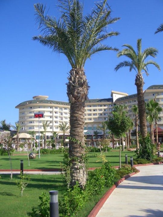 Vom Weg zum Strand Saphir Resort & Spa