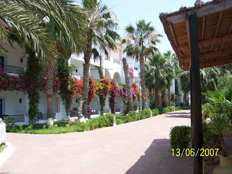 Außenanlage Hotel Nesrine