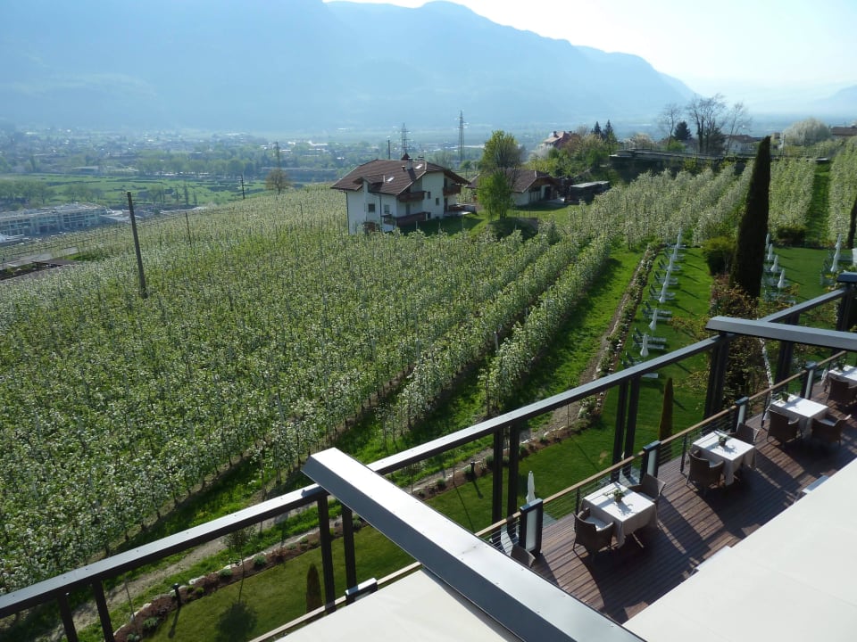 Blick vom Balkon auf die Apfelhaine Giardino Marling