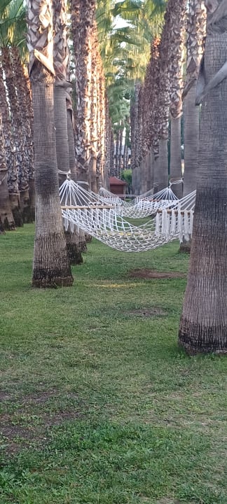 Gartenanlage Miramare Queen Hotel