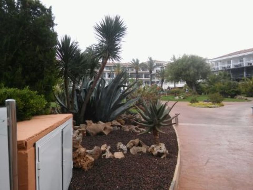 Garten Hotel Beach Club Font de Sa Cala