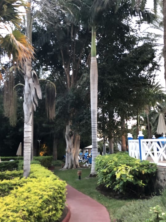 Gartenanlage Bull Costa Canaria & Spa - Adults only