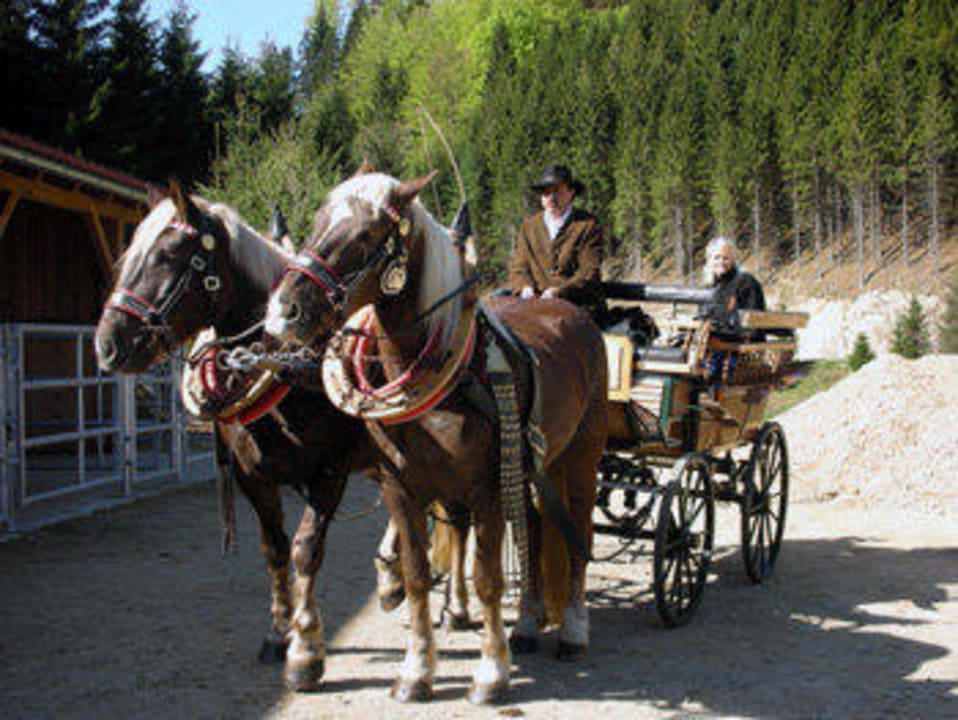 Kutschen- und Schlittenfahrten Scherhäufl Ranch