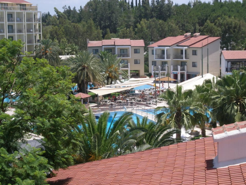 Vom Balkon Arum Barut Collection