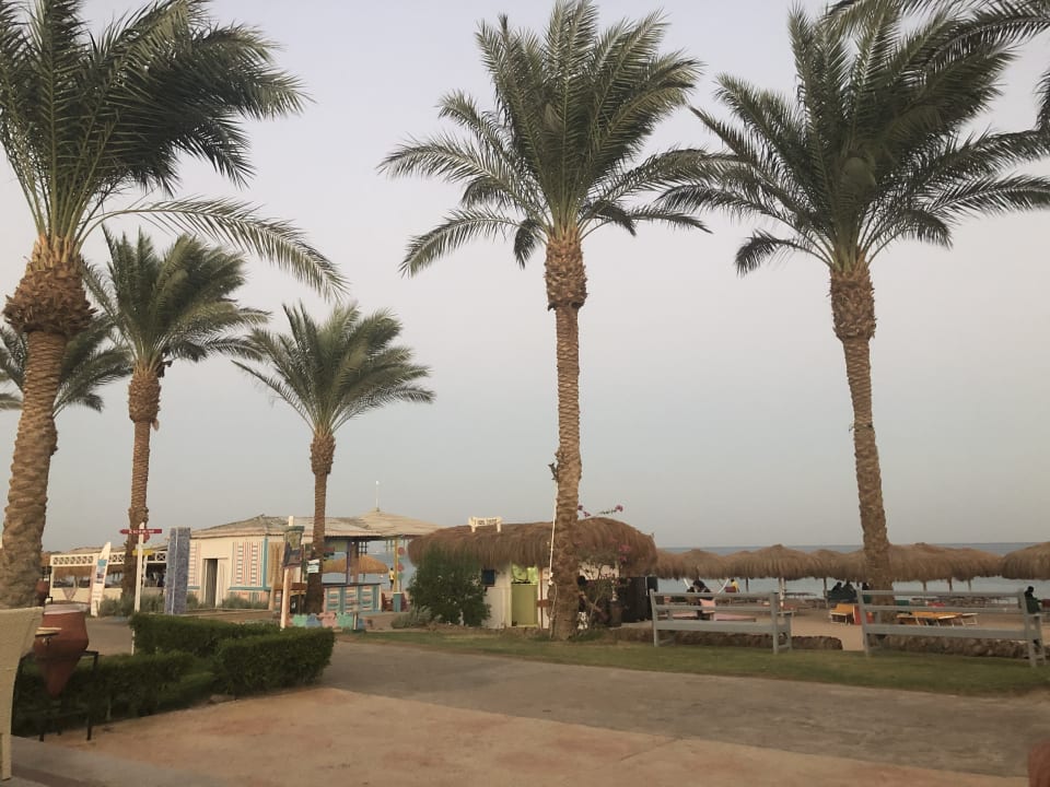 Strand Sentido Caribbean World Soma Bay