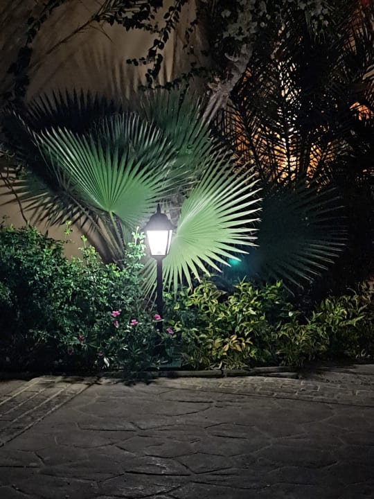 Gartenanlage Steigenberger Coraya Beach - Adults only