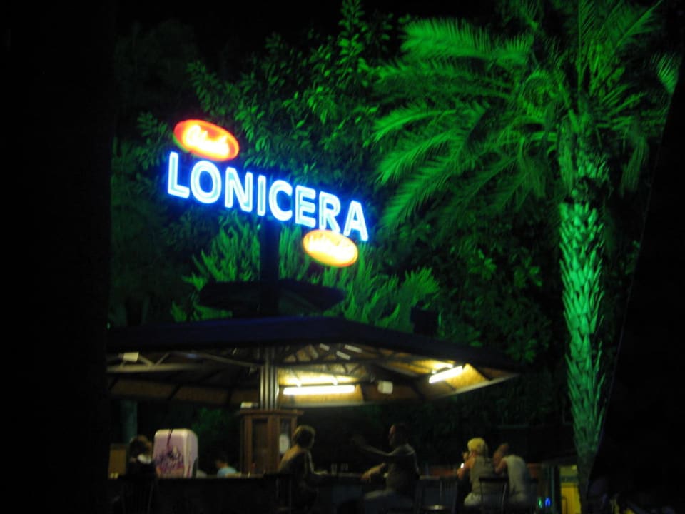 Poolbar Lonicera Resort & Spa Hotel