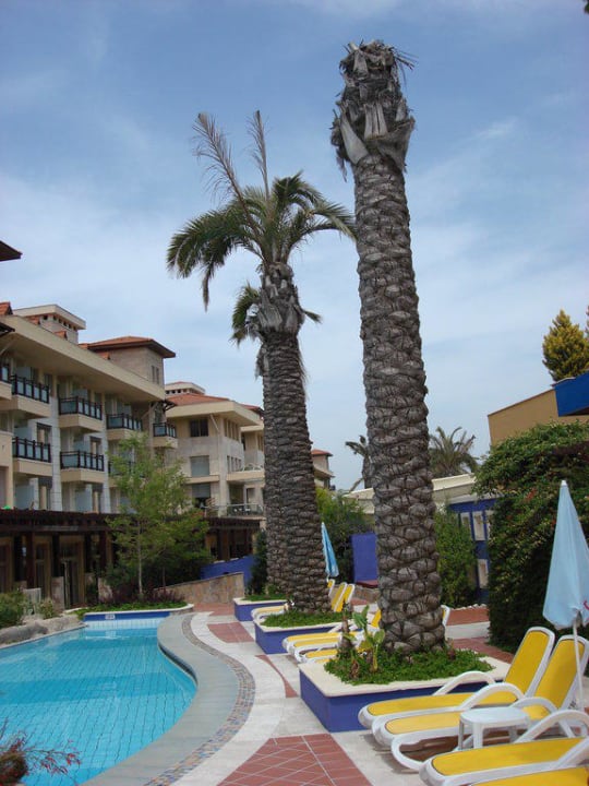 Von Strand aus in Hotel TUI BLUE Xanthe