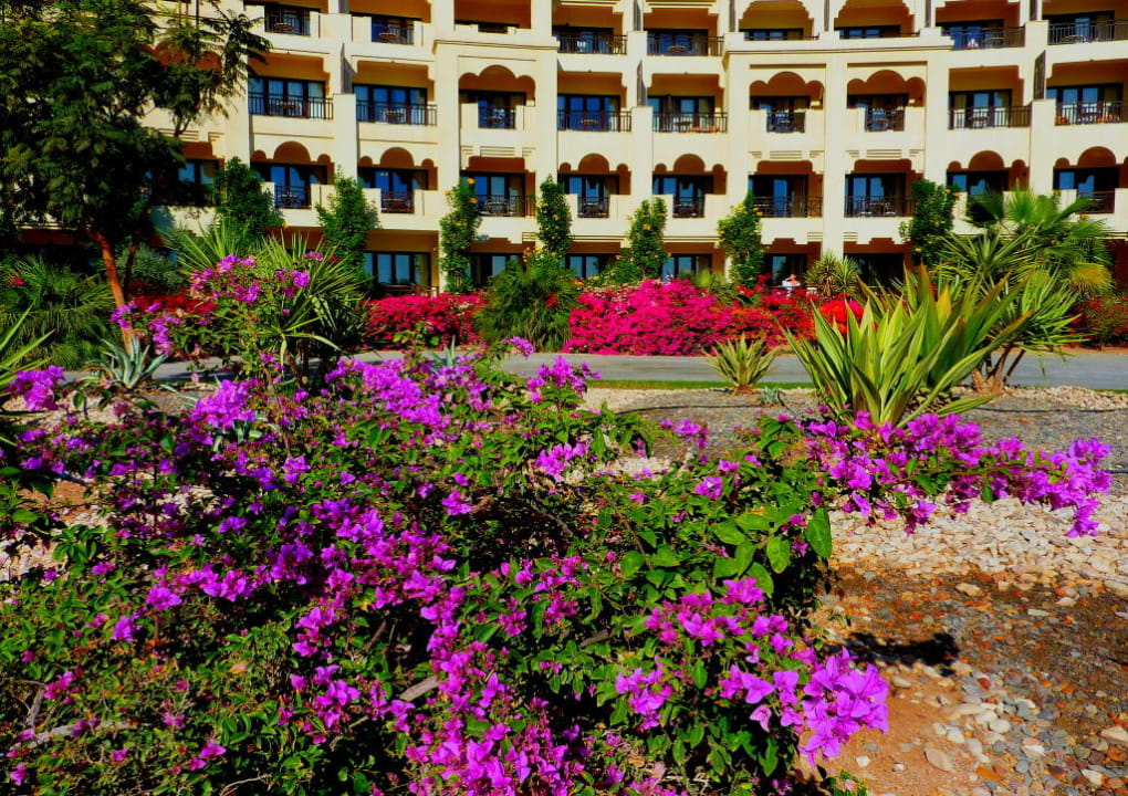 Blumenterrasse Steigenberger ALDAU Beach Hotel