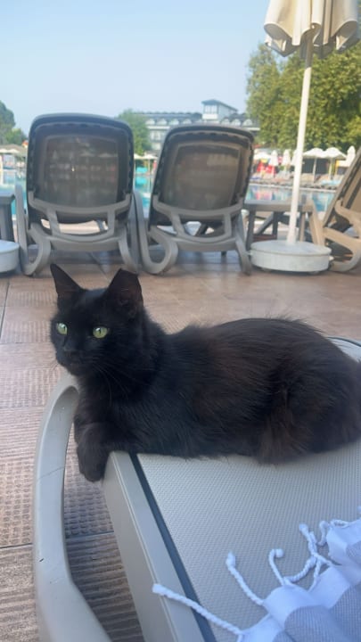 Pool VONRESORT Golden Beach